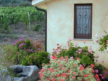 Agriturismo Sardinie - Agriturismo Su Solianu (4)